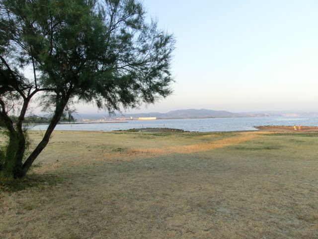 Loading Image