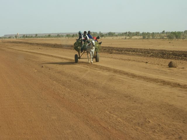 Loading Image